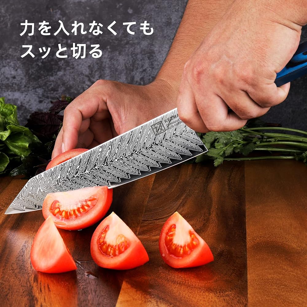 KEEMAKE Chef Knife 210mm Damascus 67 Layers Stainless Steel Home Use Kitchen Meat Cutting Vegetables Fish Handling Gift Present (Gyuto 210mm (Blue))