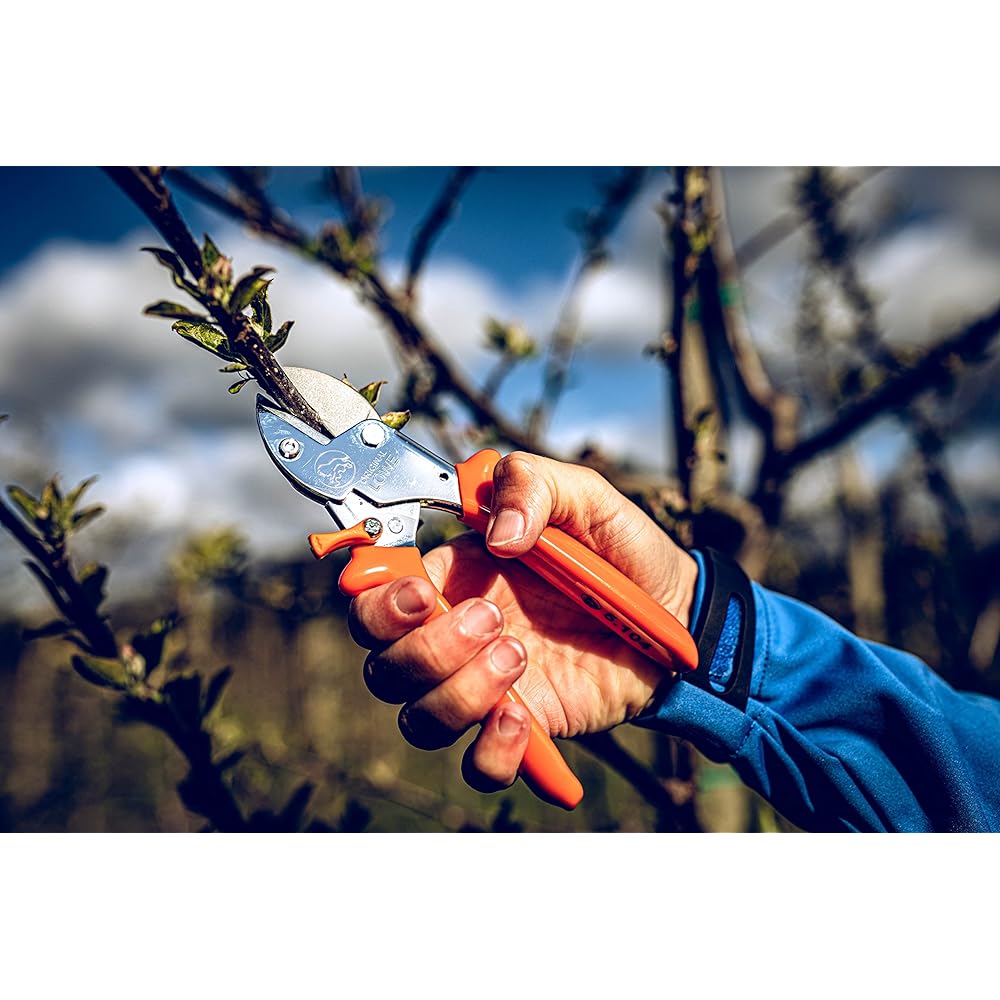 LOWE Lion Pruning Shears Small Anvil Type 5104