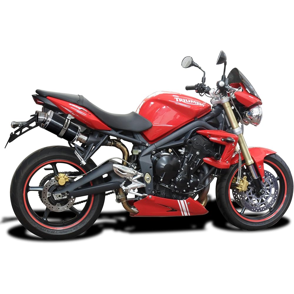 DELKEVIC Slip-on Carbon Oval Muffler for TRIUMPH STREET TRIPLE R 2009-2012 225mm KIT03EV