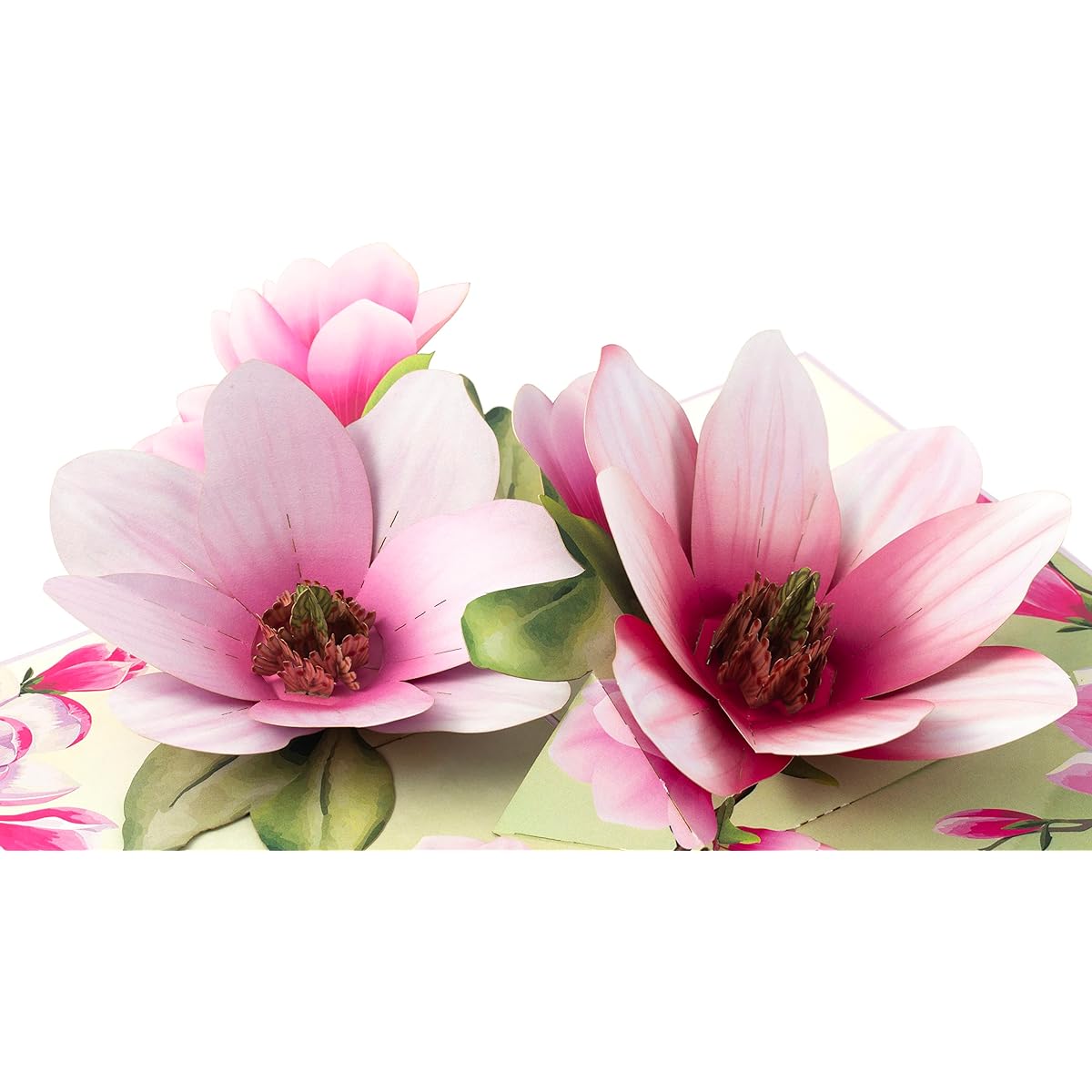 TRUANCE Pop-up Card Two Magnolia Flowers