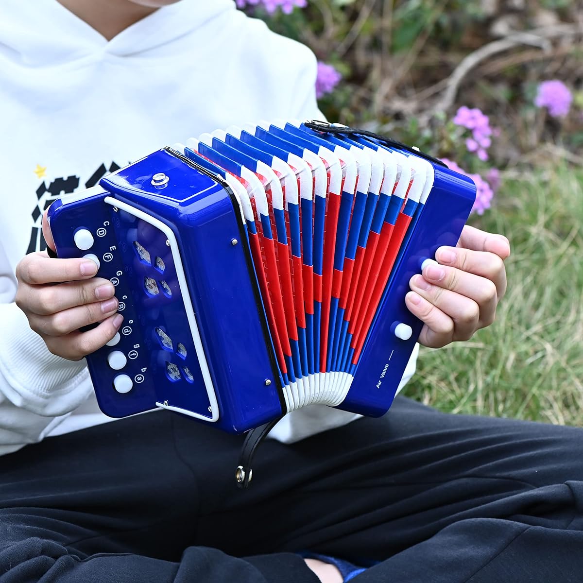 Kids Accordion 10 Key Button Accordian Musical Instrument Mini Accordion Gift for Beginners (Blue)