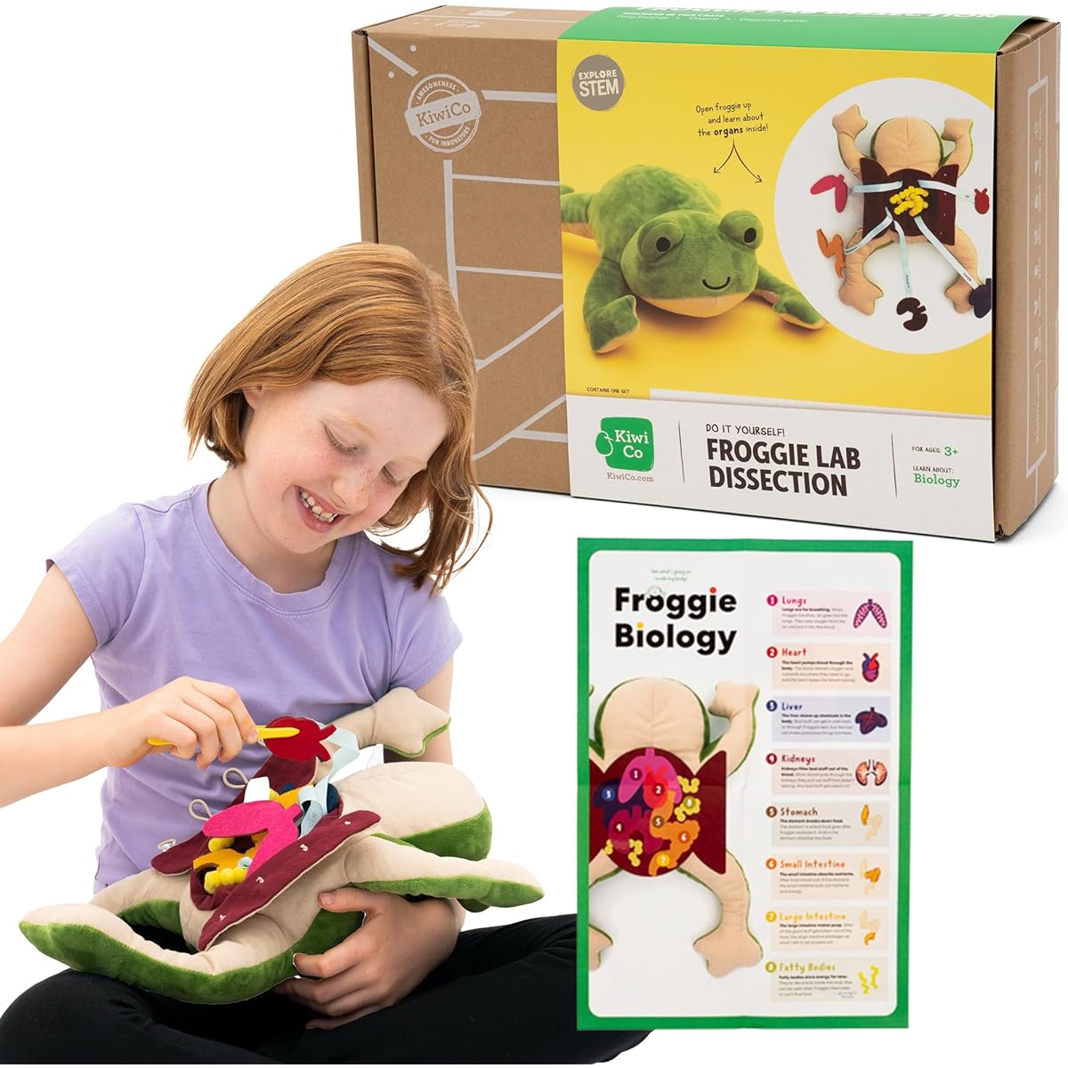 KiwiCo Froggie Lab Dissection, Stuffed Frog | Anatomy Learning Toy & Stuffed Animal for Fun and Educational Play | Science Toy for Kids Ages 3+
