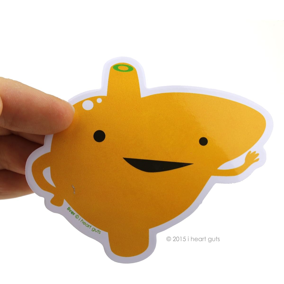 Love Your Liver Stickers I Heart Guts Giant Sticker Pack of 15 Stickers Set by I Heart Guts
