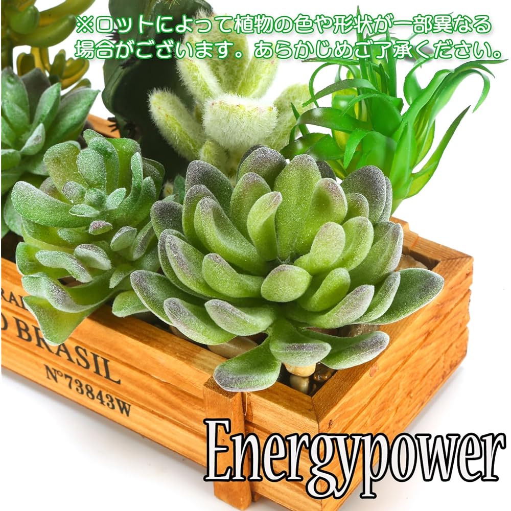 EnergyPower Faux Green, Artificial Succulent Plants & Cactus, 9 Types of Planting, Stylish Bonsai, No Watering, No Withering, Imitation Green, Photocatalyst, Odor Resistant, Easy Healing Space, Fun