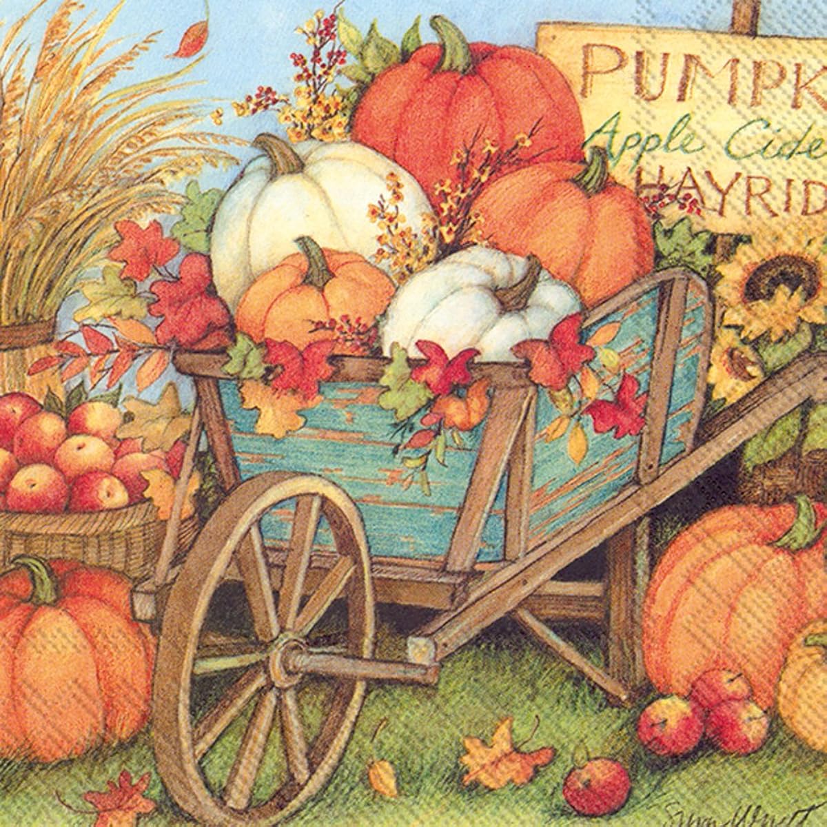 Boston International C793800 IHR Cocktail Beverage Paper Napkins, 5" x 5", Pumpkin Crop
