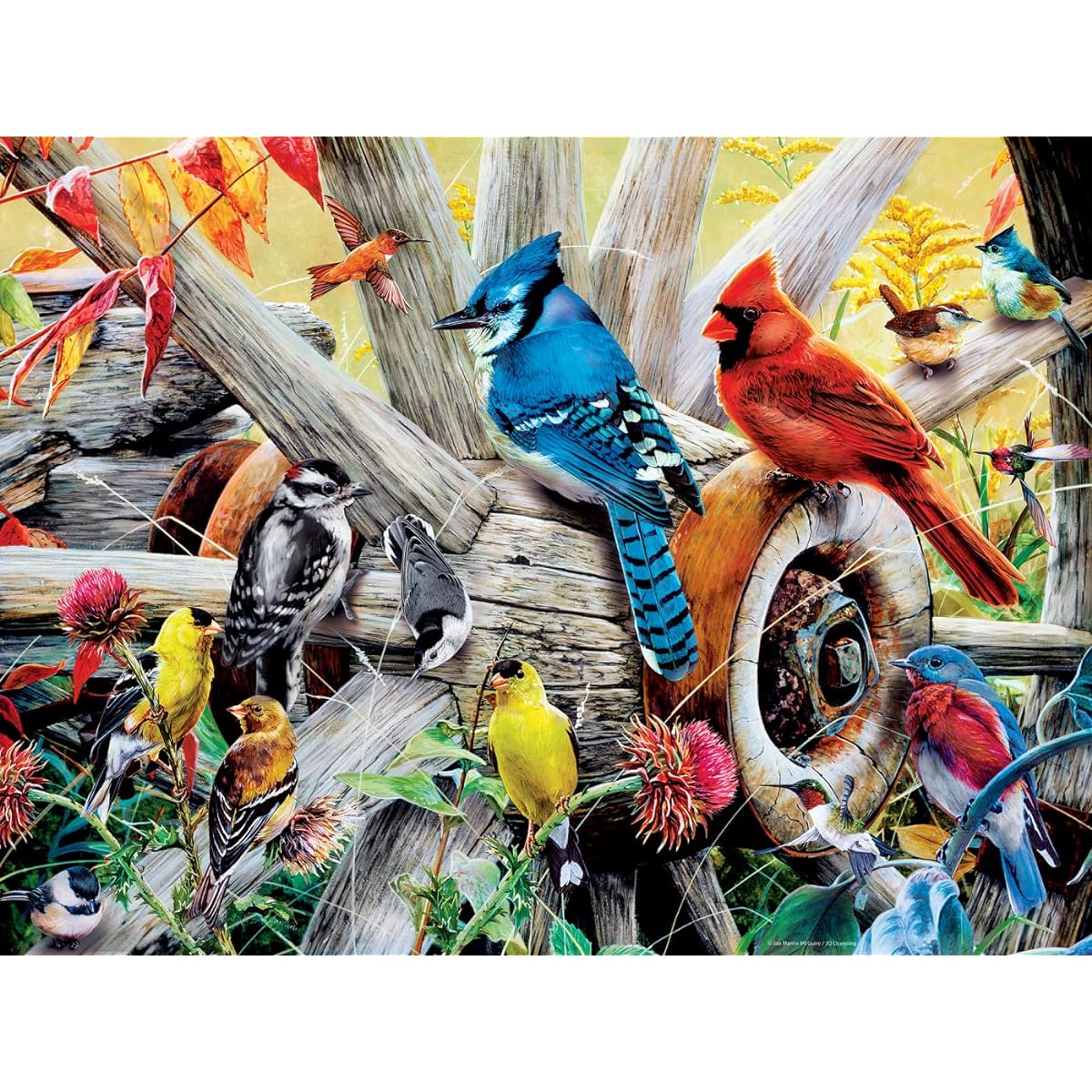 MasterPieces 300 Piece EZ Grip Jigsaw Puzzle for Adults Family Kids Backyard Birds 18" x 24"