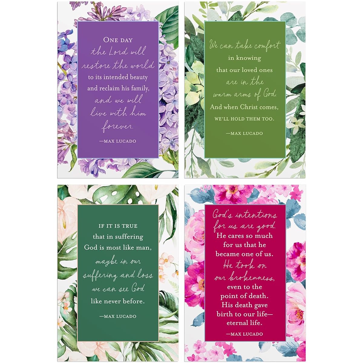 DaySpring – Max Lucado with Sympathy – Assorted 4 Botanical Designs with Bible – 12 Sympathy Boxed Cards & Envelopes (J9180)