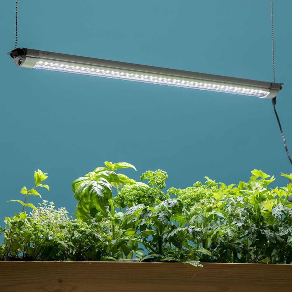 Takasho Plant Growing Light Grow Light 57cm LSB-57K Depth 5.4 x Height 2.6 x Width 57cm