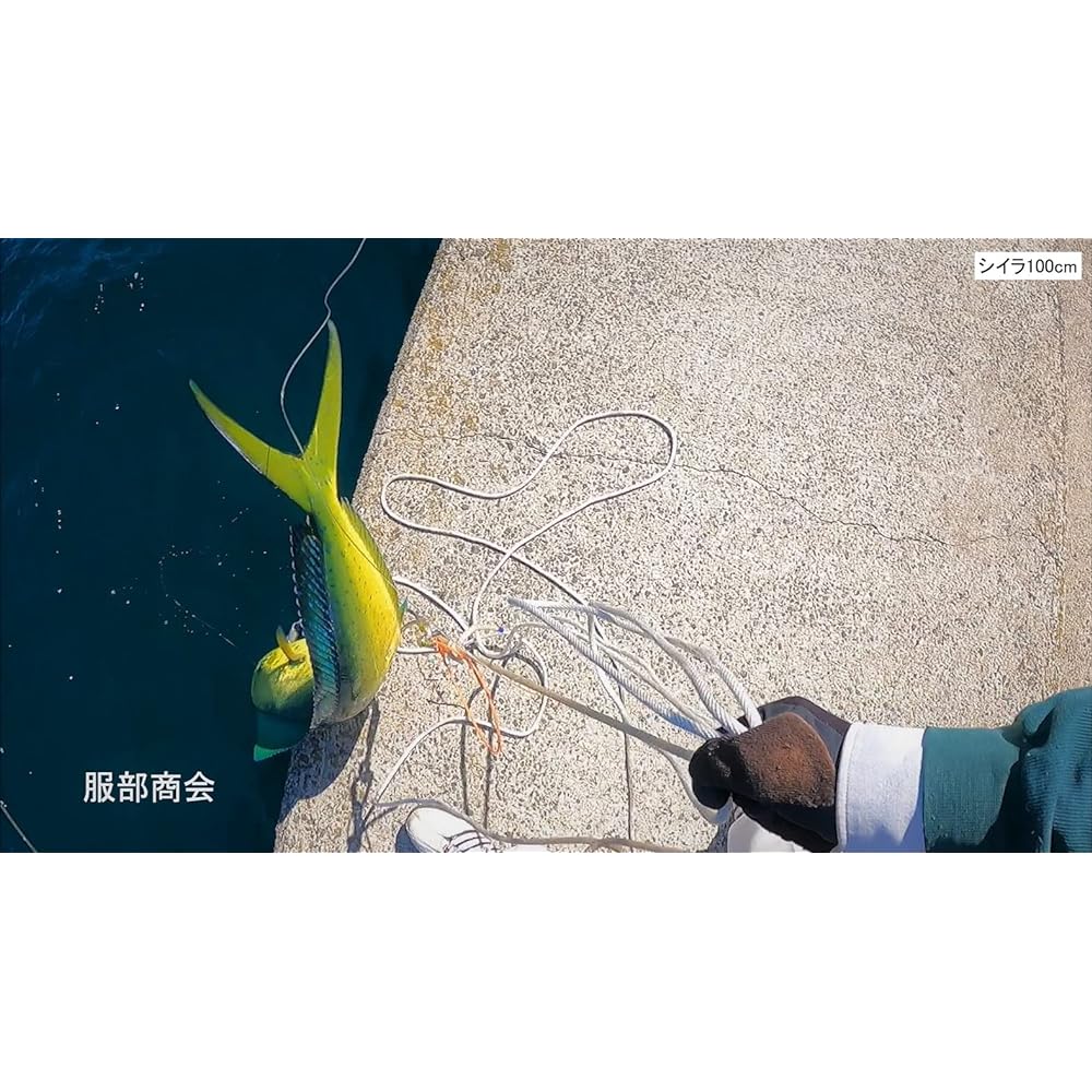 Dropping double gaff (patented) - Center shaft - Green object intake system - NS