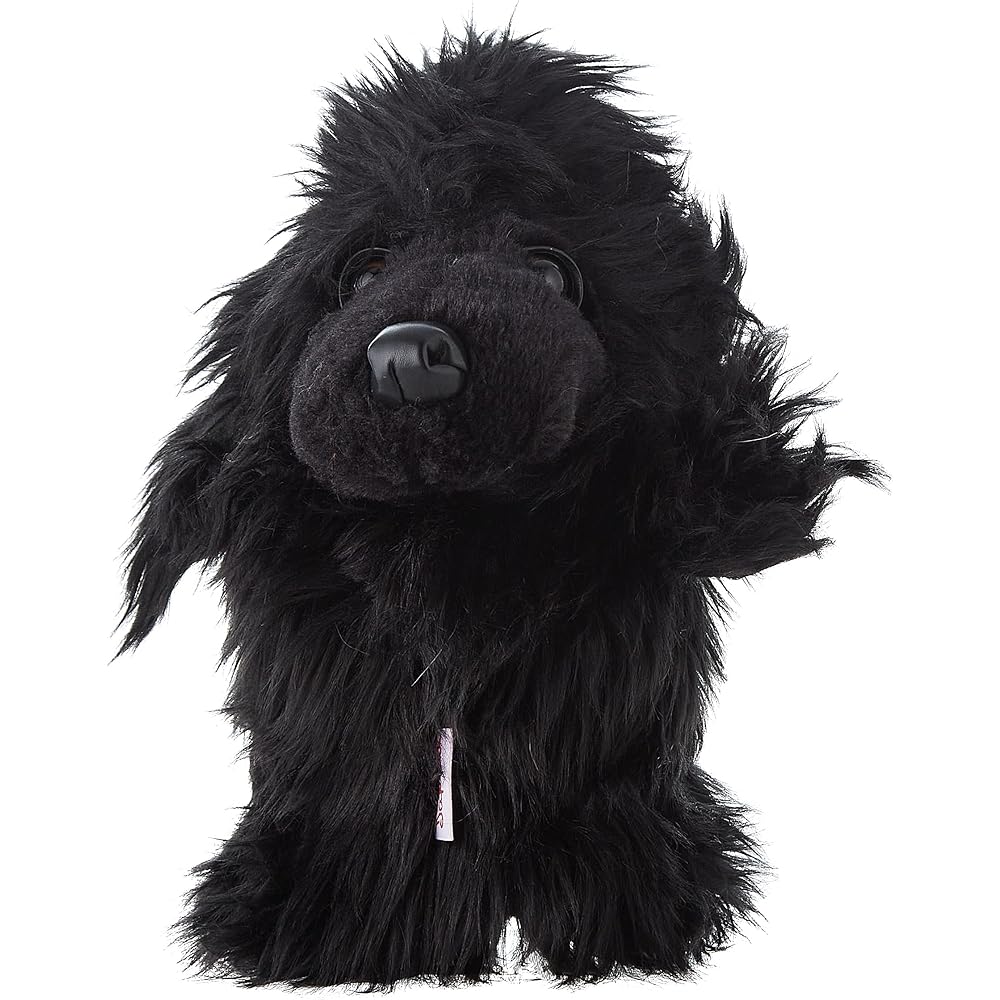 Daphne's Head Cover Black Poodle Hybrid Black Poodle Hybrid