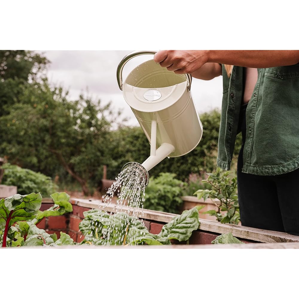 Kent & Stowe Watering Can Metal 4.5L Vintage Cream 19 x 40 x 24 cm 00311 [Parallel Import]