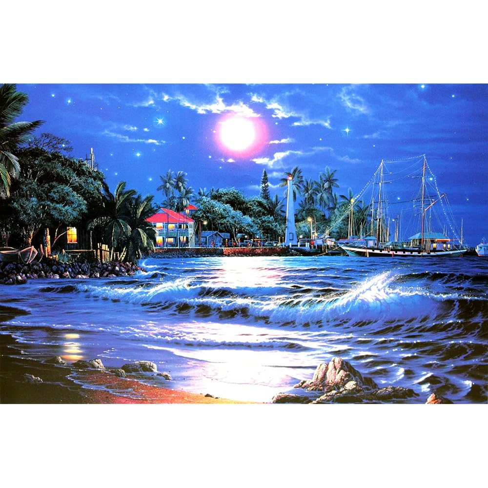 Art Shop Forms Lassen "Lahaina Starlight" Art Poster Framed Item