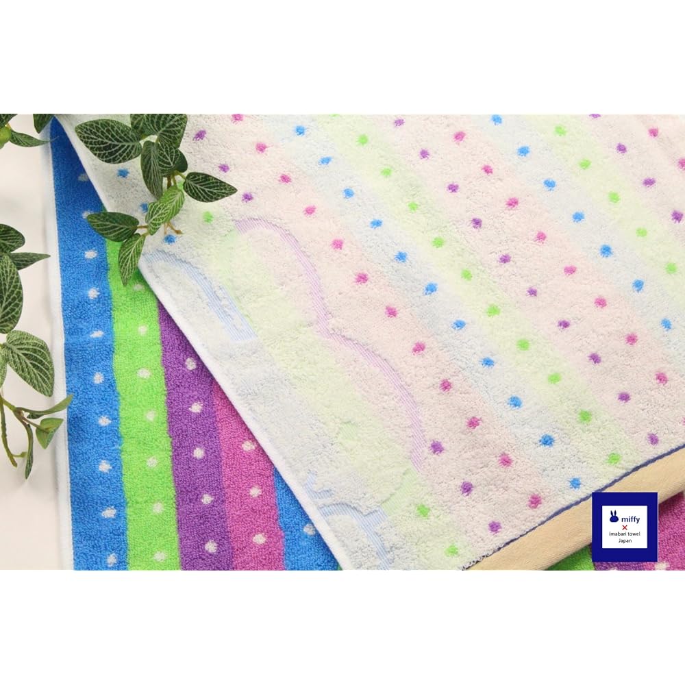Imabari Towel Towel Blanket Cool Miffy Veil