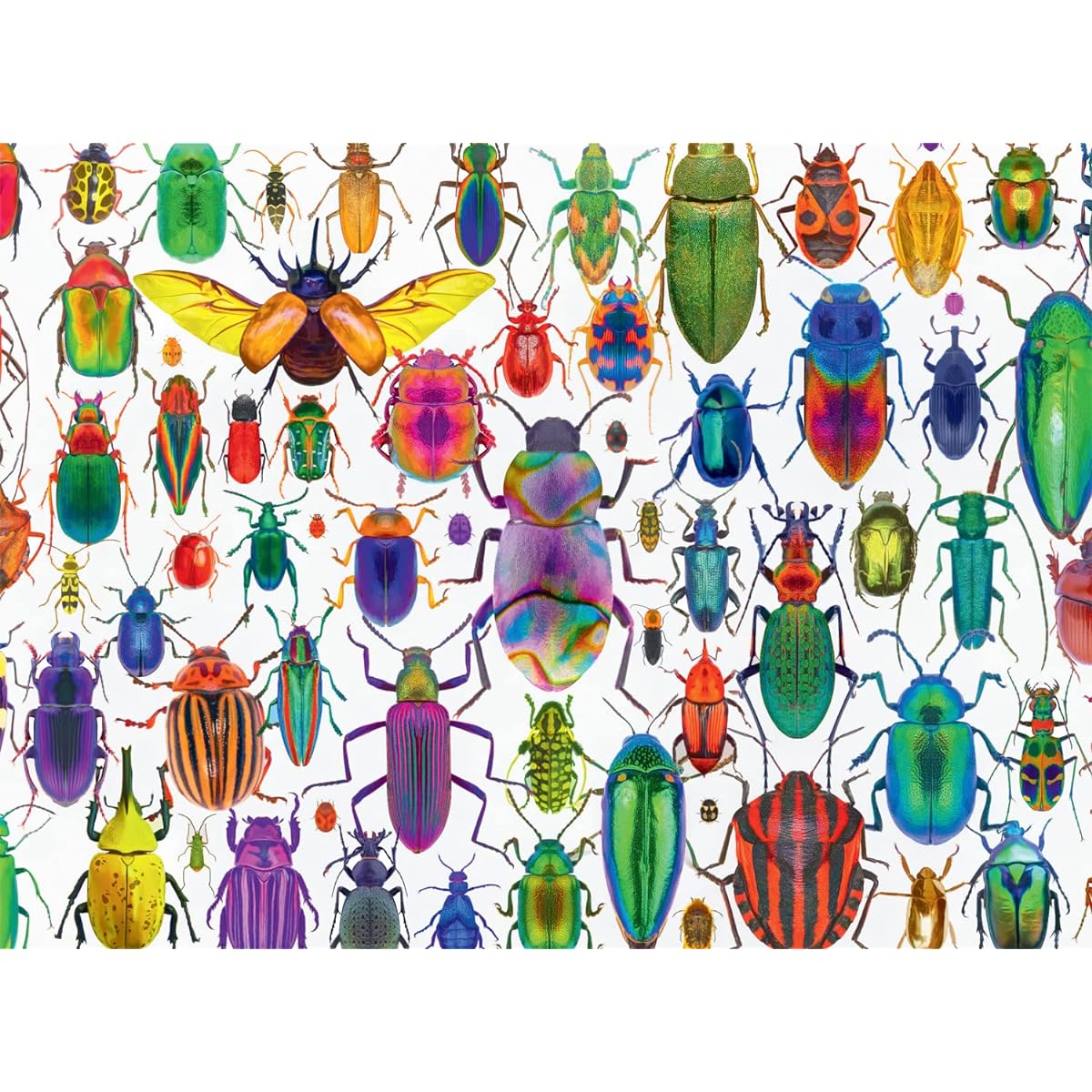 Buffalo Games - Bountiful Beetles - 1000 Piece Jigsaw Puzzle