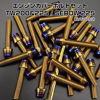 Engine cover bolt set for Yamaha TW200 TW225 SEROW 225 SEROW 22 pieces tapered shell head gold & blue