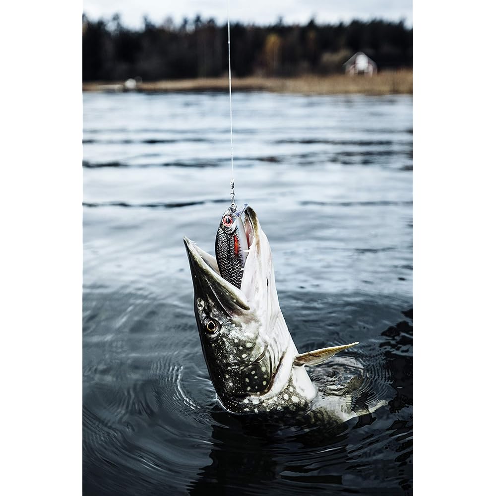 Rapala Shad Super Shadow Wrap 16cm 77g SSDR16 Lure