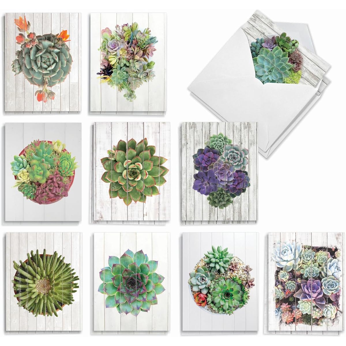 The Best Card Company Shiplap Succulents - 20 Assorted Boxed All Occasion Note Cards with Envelopes (4 x 5.12 inches) - Driftwood AM6438OCB-B2x10