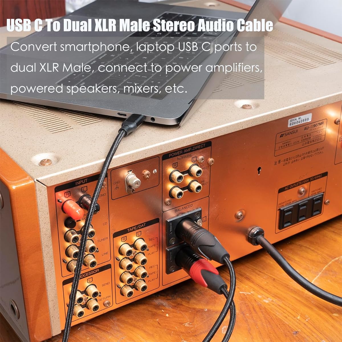 HUALEU, 10ft USB C to Dual XLR Male Audio Cable, Electronic Cable for Amplifiers, Tablets, Smartphones, Speakers, Laptops