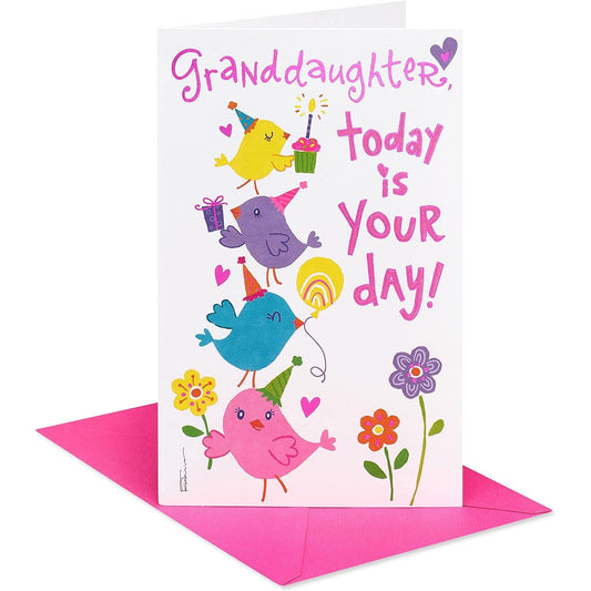 American Greetings Birthday Card for Granddaughter (All About You)