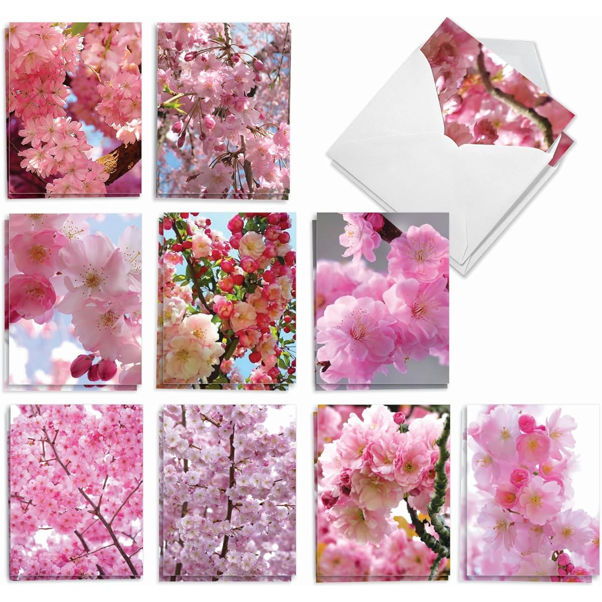 The Best Card Company Cherry Blossoms - Box of 20 Thank You Cards with Envelopes (4 x 5.12 inches) - AM6861TYG-B2x10
