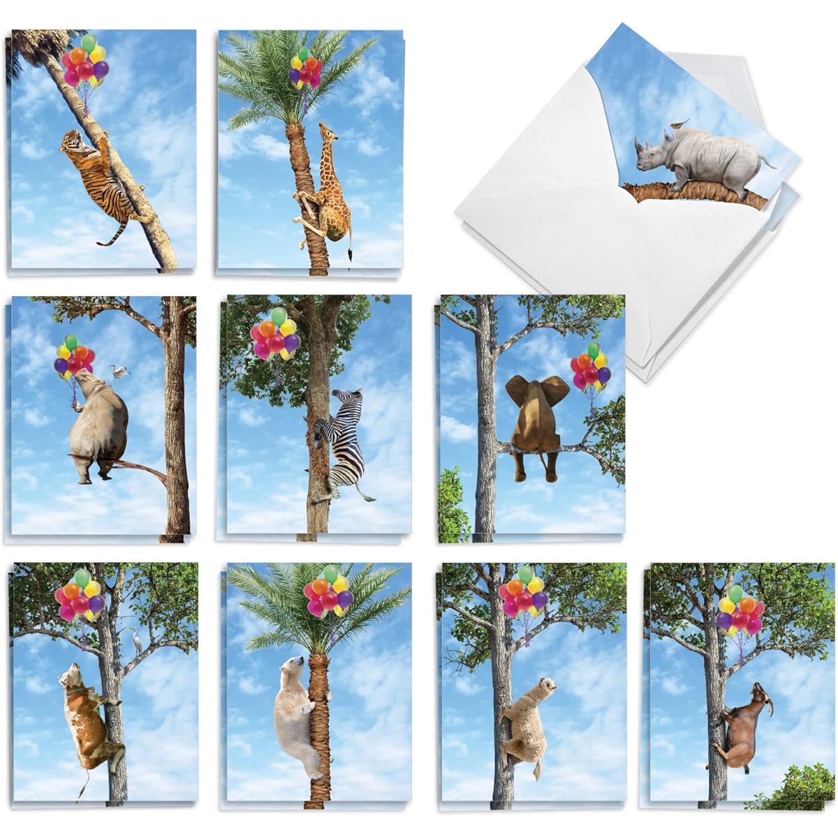 The Best Card Company 20 Assorted Birthday Note Cards Box Set 4 x 5.12 Inch with Envelopes (10 Designs, 2 of Each) Wooden Animals AM10323BDG-B2x10