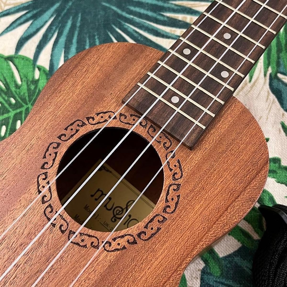 Beginner's Set Music's Soprano Ukulele Ukulele Specialty Store