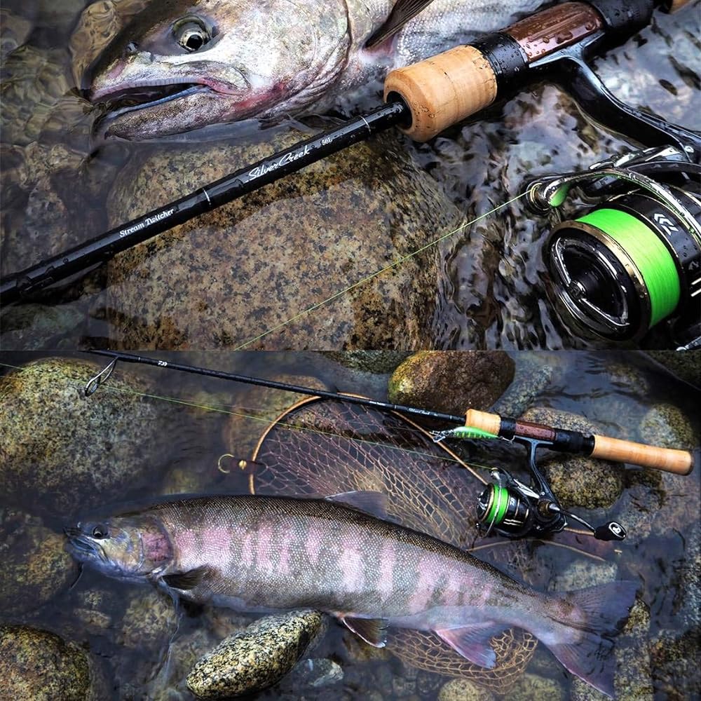 DAIWA Spinning Reel 19 Ballistic FW LT (2019 Model)