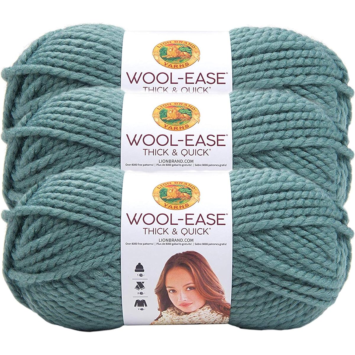 Lion Brand Wool Ys Thick Quick Yarn - (3 Pack) - Succulents