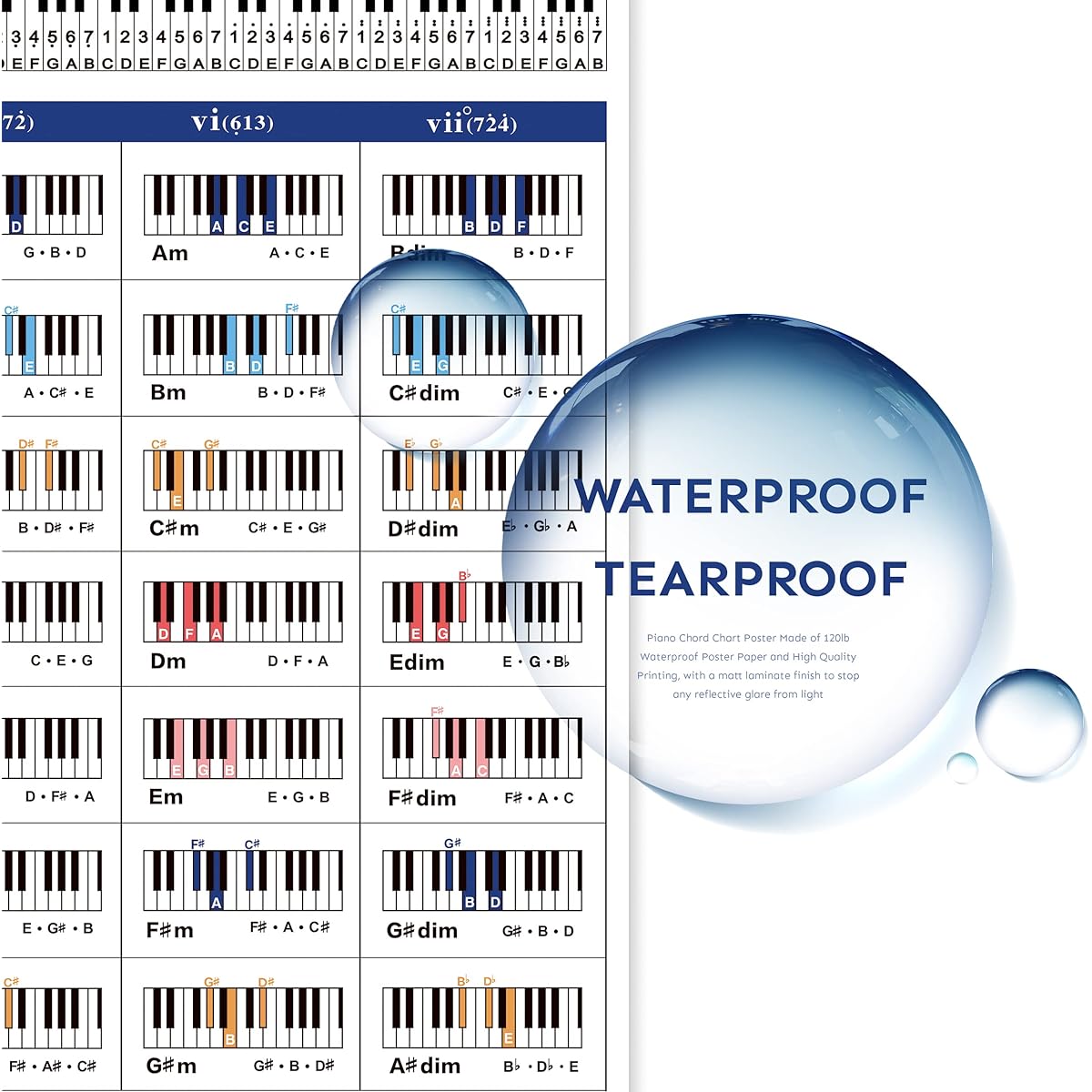 Piano Chord Chart Poster, Educational Reference Guide for Beginners Learn String Progressions and Play Piano String Order in Any Key, Piano Wall Chart Reference for Beginners, Adults or Children