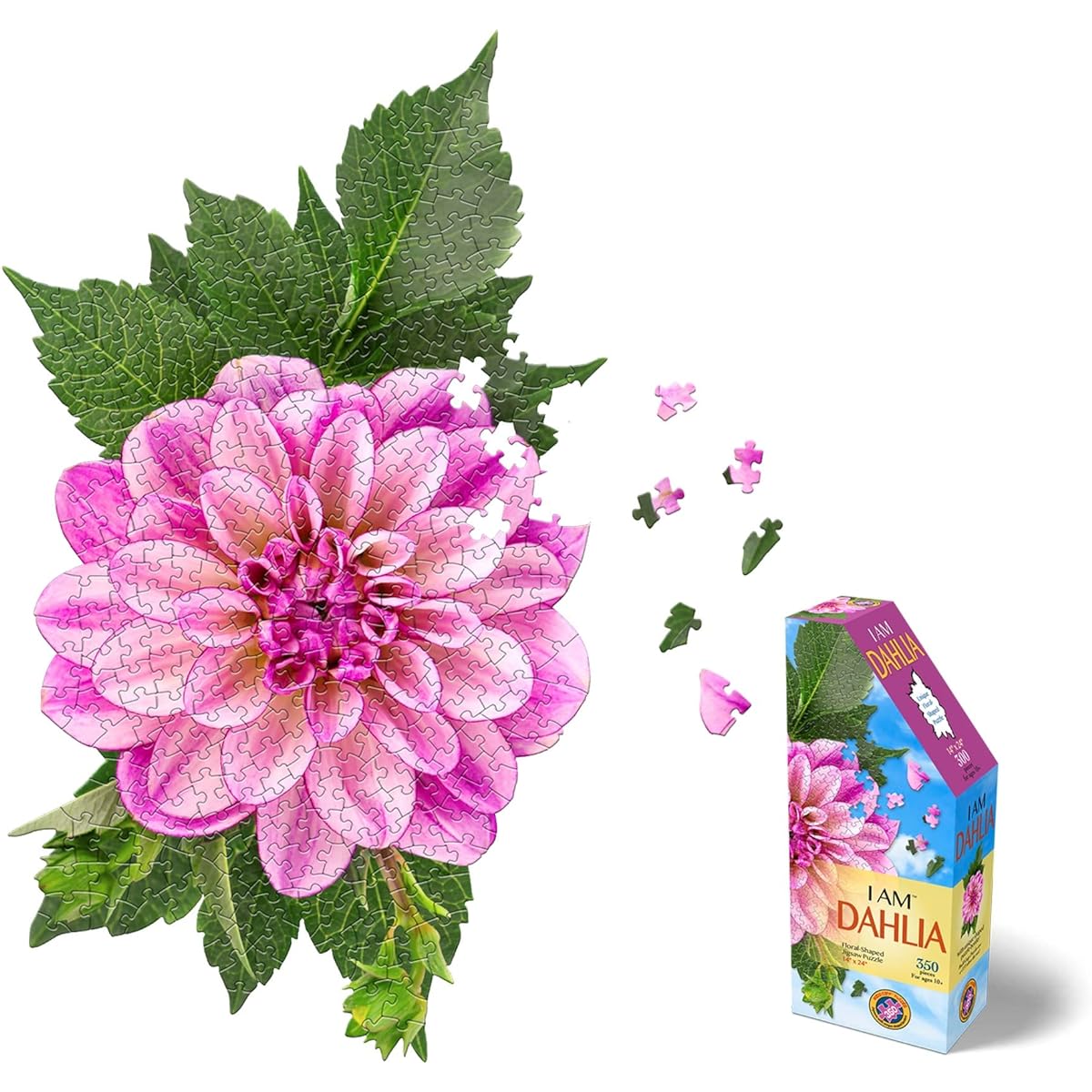 Madd Capp: I Am Tulip - 350 Piece Jigsaw Puzzle - 8005 - Ages 10+ Unique Floral Borders Challenging Random Cuts Includes Educational Madcap Fun Facts