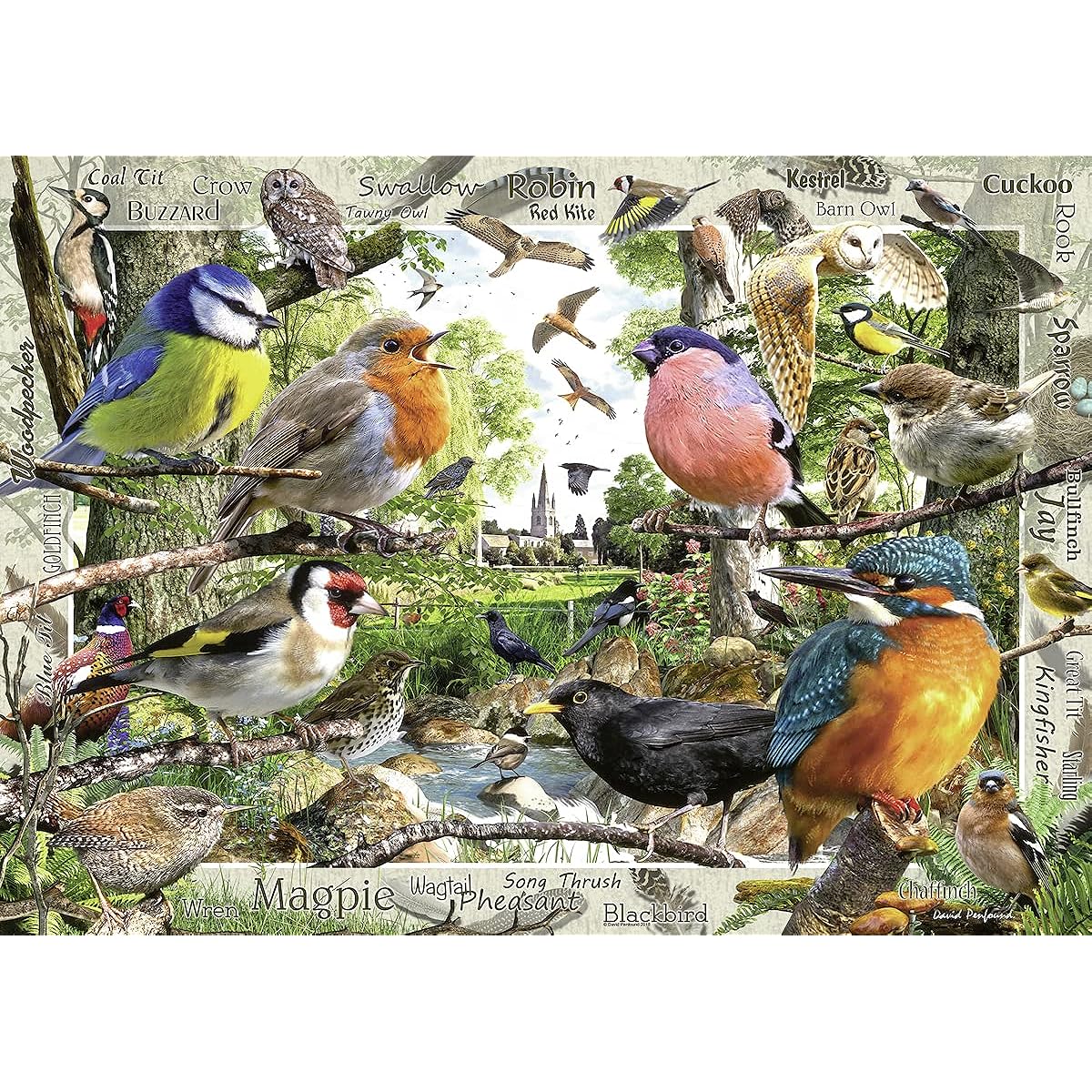 Ravensburger Our Feathered Friends, 1000pc Jigsaw Puzzle