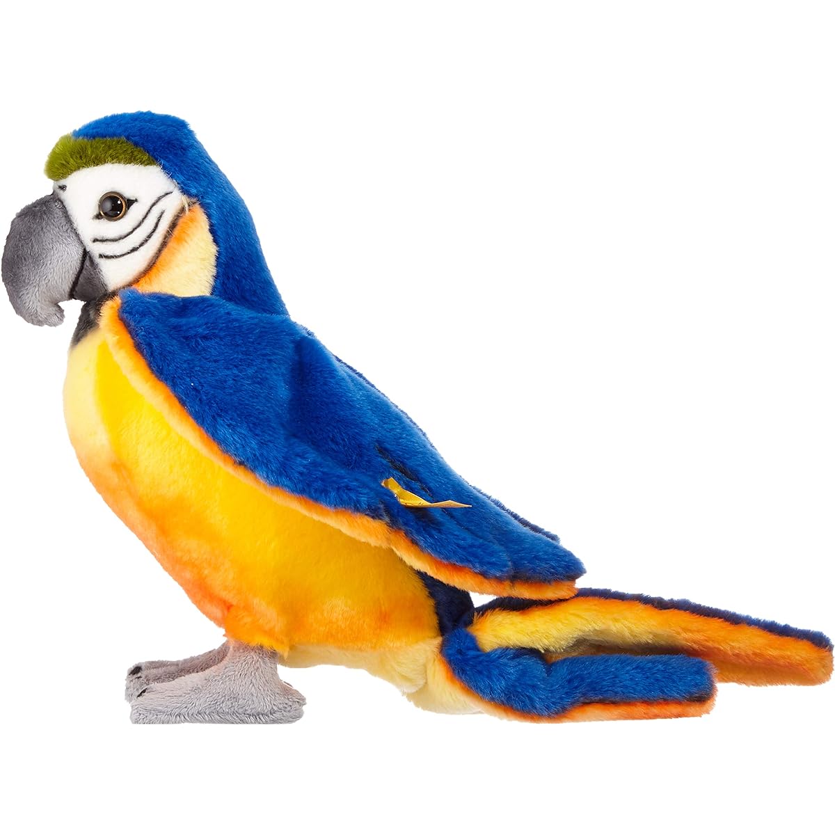 Parrot Lori Blue Yellow 26