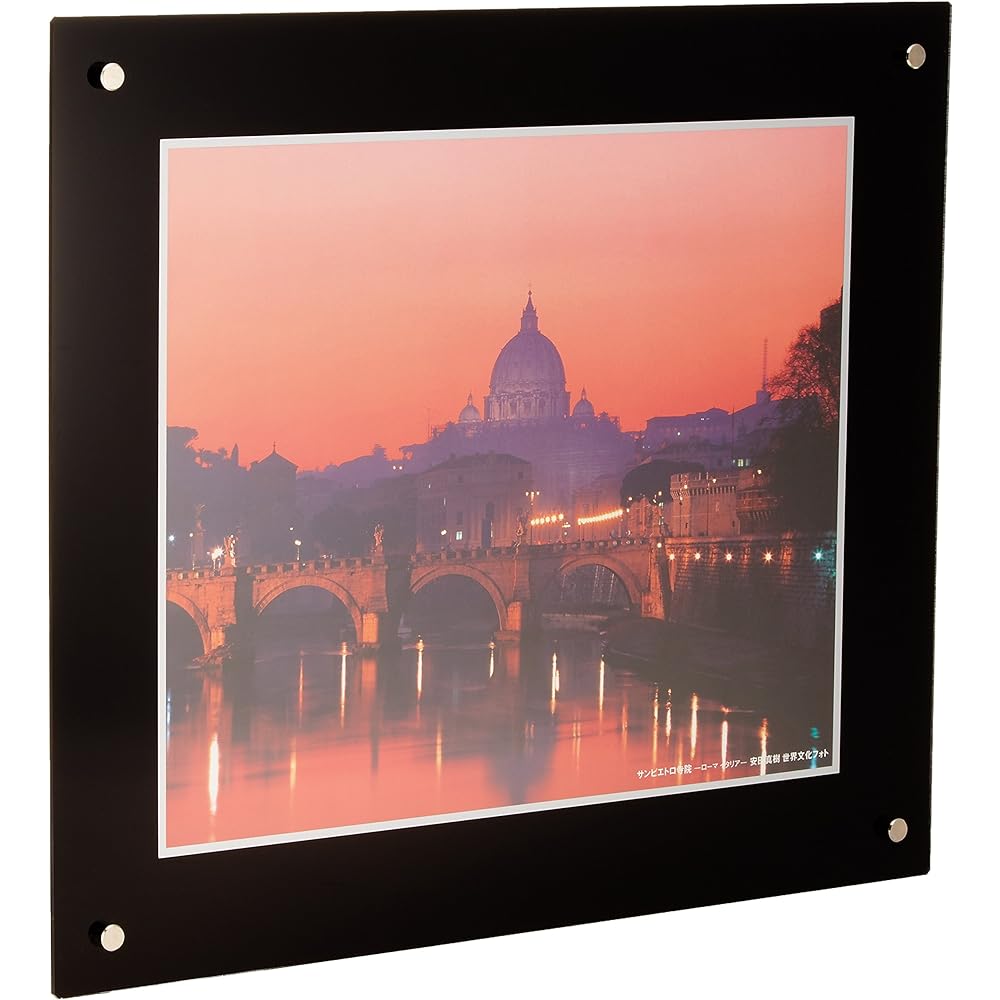 FUJICOLOR Picture Frame Pro Frame [Special Size Free L] Special Size Acrylic Black 40090