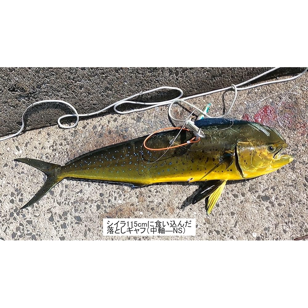 Dropping double gaff (patented) Seabass blue fish intake system (new model)