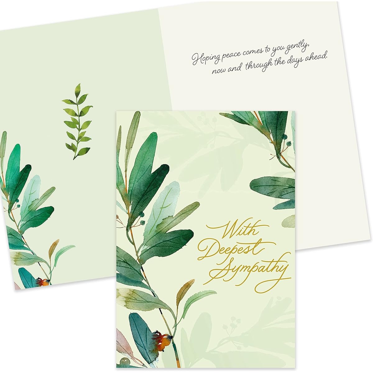Hallmark Business Sympathy Cards 25 Pack Bulk Assortment (Respected Sympathy)