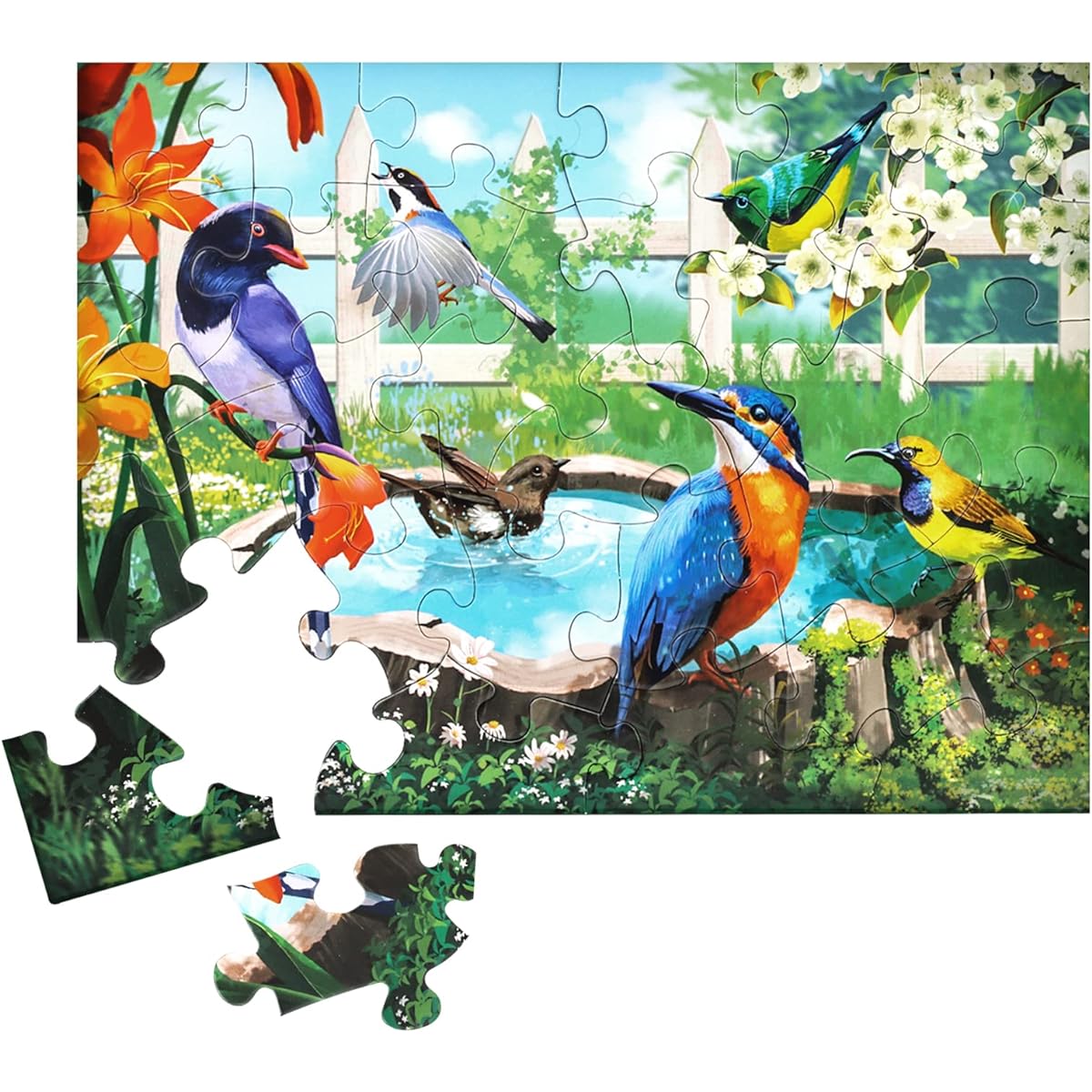 Sunhigh Dementia Puzzle for Elderly 30 Piece Large Jigsaw Puzzle Alzheimer's Disease Dementia Bird