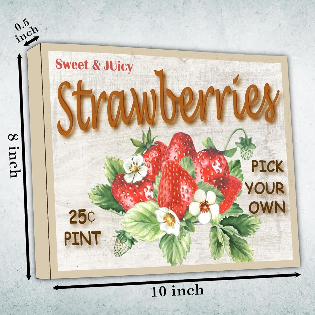 Feyerr Farmhouse Strawberry Decor Retro Decor