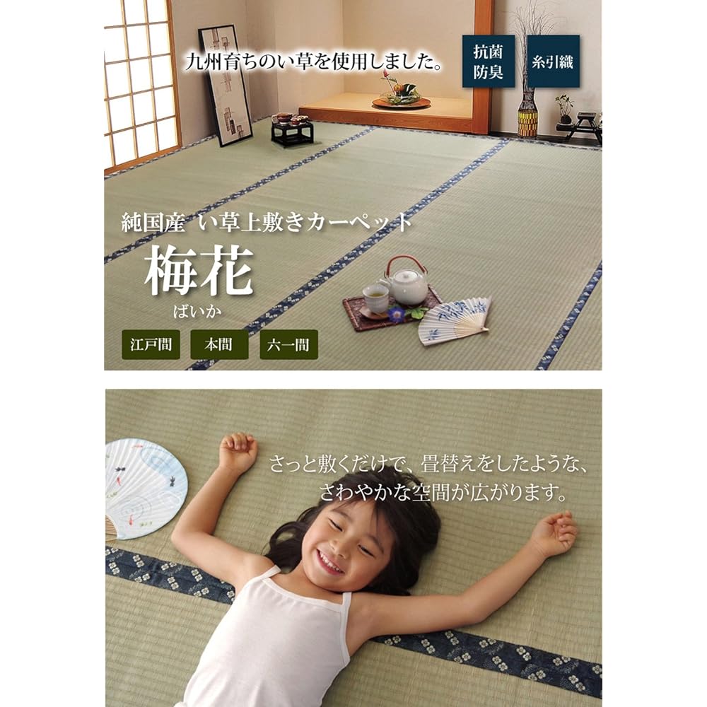 Ikehiko Igusa Overlay Carpet, 2 tatami mats, Domestic Itobiki Woven "Plum Blossom", 61-ken 2 tatami mats (approx. 185 x 185 cm)