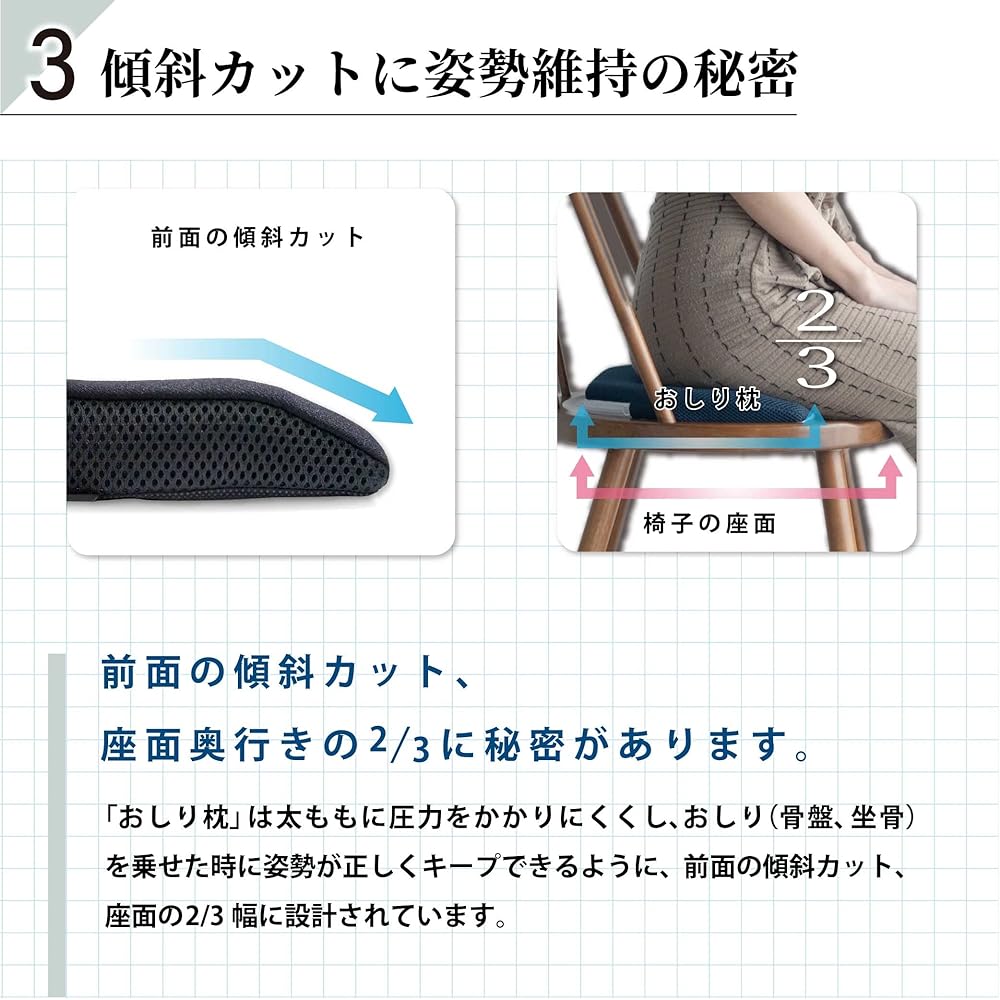CURE:RE OSHIRI MAKURA Chiropractic Cushion Posture Body Pressure Dispersion Portable Cushion W41 x D25.5 x H3cm