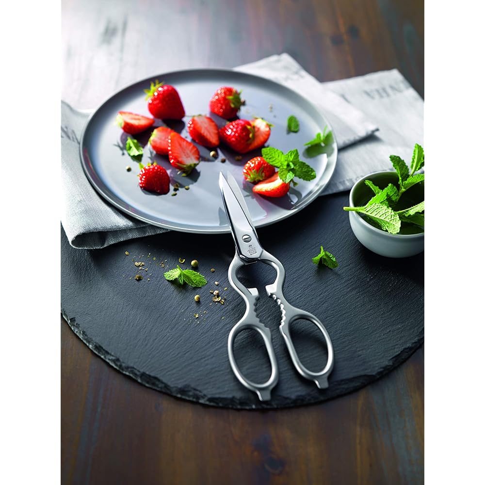 Zwilling "Classic Cooking Scissors Satin" Stainless Steel Kitchen Scissors Made in Germany [Authorized Japanese Product] 43923-200