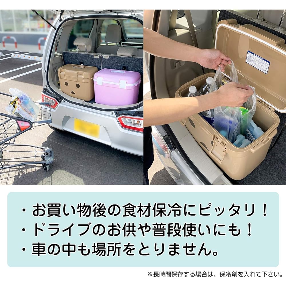 JEJ Astage Cooler Box 25L Made in Japan Danbo Forest Crew #25 [Width 47.5 x Depth 28 x Height 36cm]