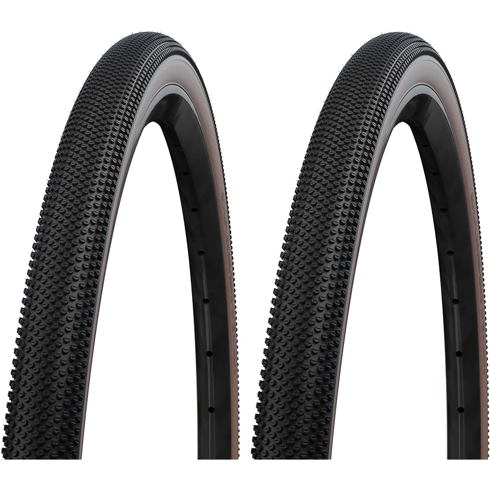 Set of 2 SCHWALBE G-ONE ALLROUND 700c Tubeless Easy (TLE) Performance Line ADDIX [Parallel Import]