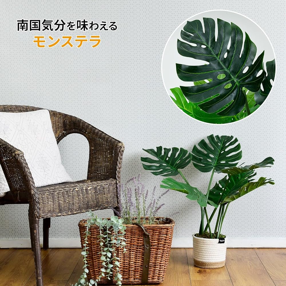 [Yamazen] Fake Green, Height 65cm, No watering required, Will not wither, No pests, Artificial houseplant, Houseplant, Interior, Office, Stylish, Healing, SIMPLANTS FG-MON65 Monstera