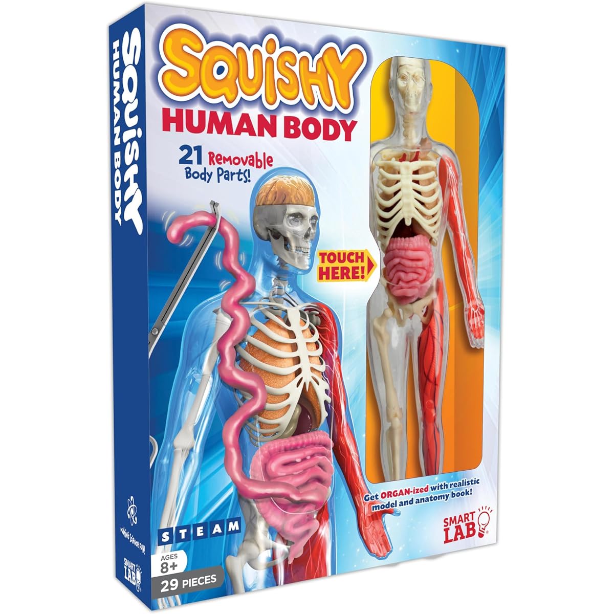 SmartLab QPG Lab Squishy Human Body for Kids Grades 3-8