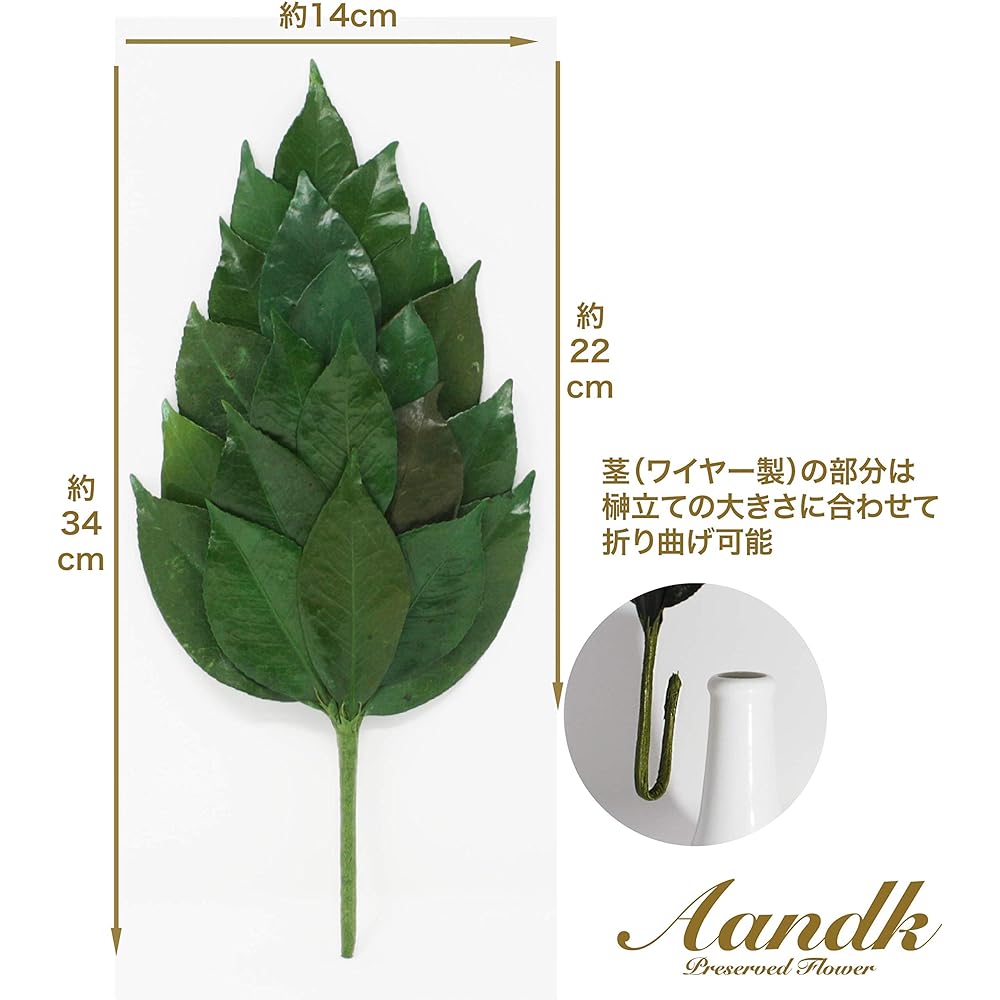 [A&amp;K] Sakaki, Extra Large, Thick-Shing, Type, 1 Pair (Uses Fresh Leaves) Preserved Sakaki (Made with Premium Camellia Leaves from Tanba) < Utility Model Registration No. 3222297> Handmade, Handmade,