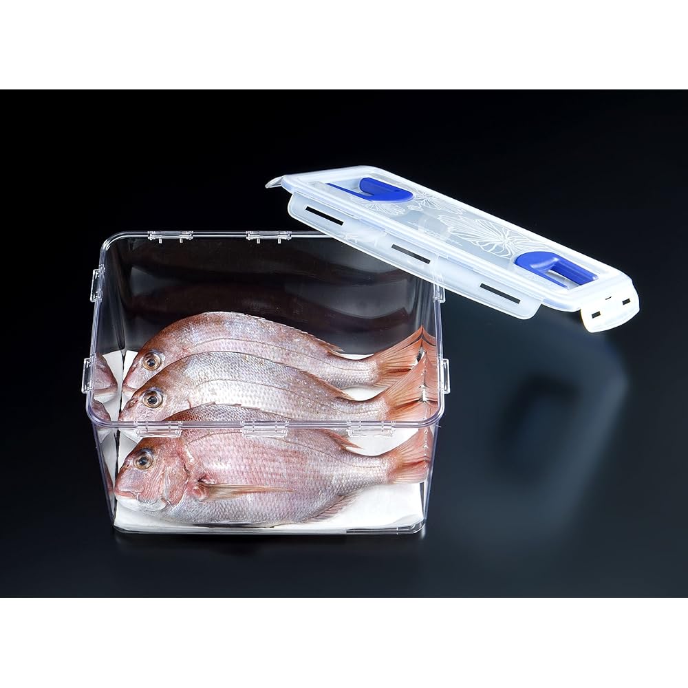 LOCK&LOCK Bisfree Container Handy Both Hands (12L) LBF889 Clear