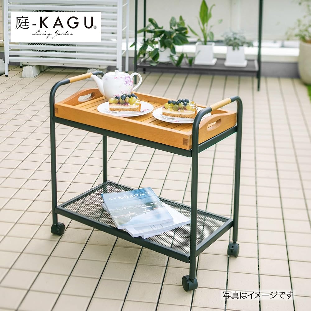 Takasho Flower Stand Terrace Rack 2 Tiers with Casters [MSF-32] Black Approx. Width 60cm x Depth 30cm x Height 56.5cm