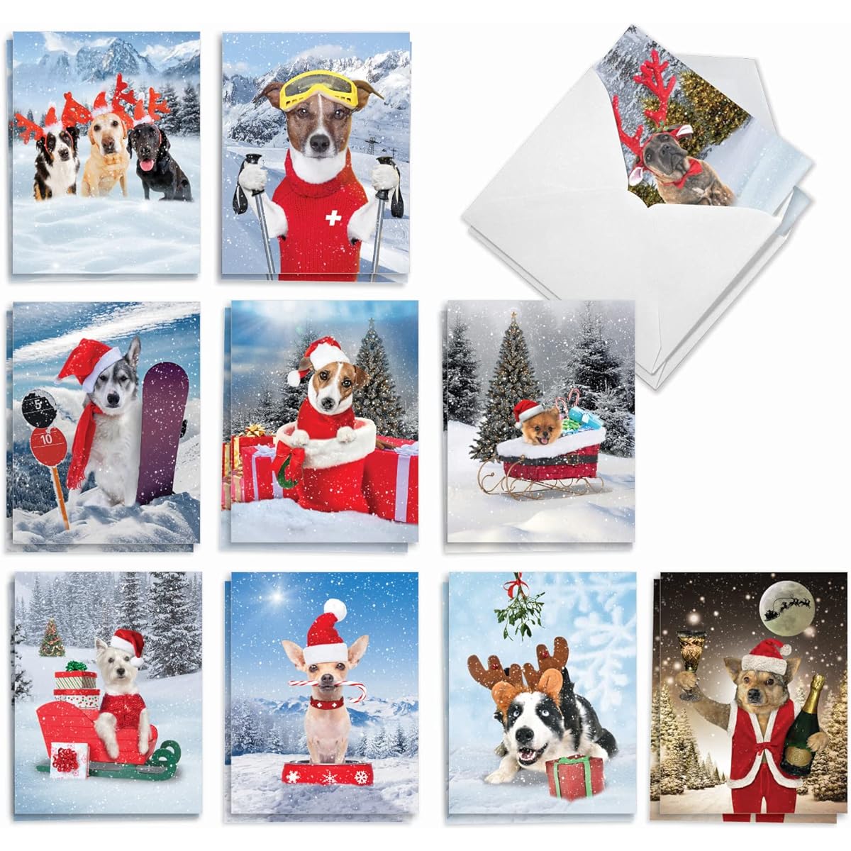 The Best Card Company Canine Antics - 20 Assorted Boxed Merry Christmas Note Cards with Envelopes (4 x 5.12 inches) - Playful Dog in the Snow AM3194XSG-B2x10