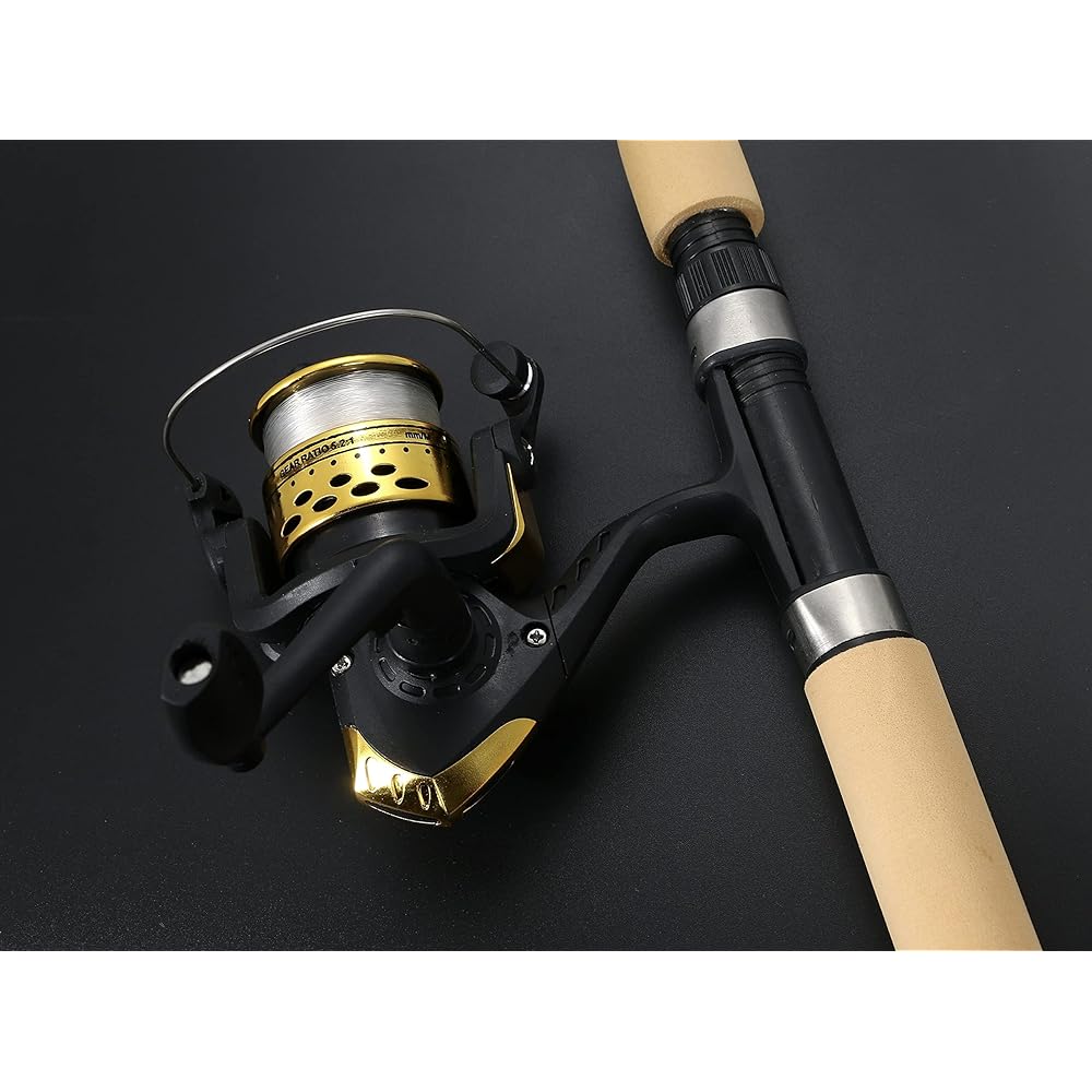 VILTAGE Fishing Rod Set [Compact Rod Spinning Reel] Rod Total Length 100cm with Line (Gold) Rod Case Included