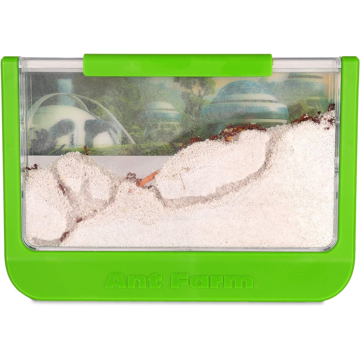 [Uncle Milton] Uncle Milton Ant Farm Live Ant Habitat, 60th Antiversary Edition, Rainforest Science 0041 [Parallel Import]